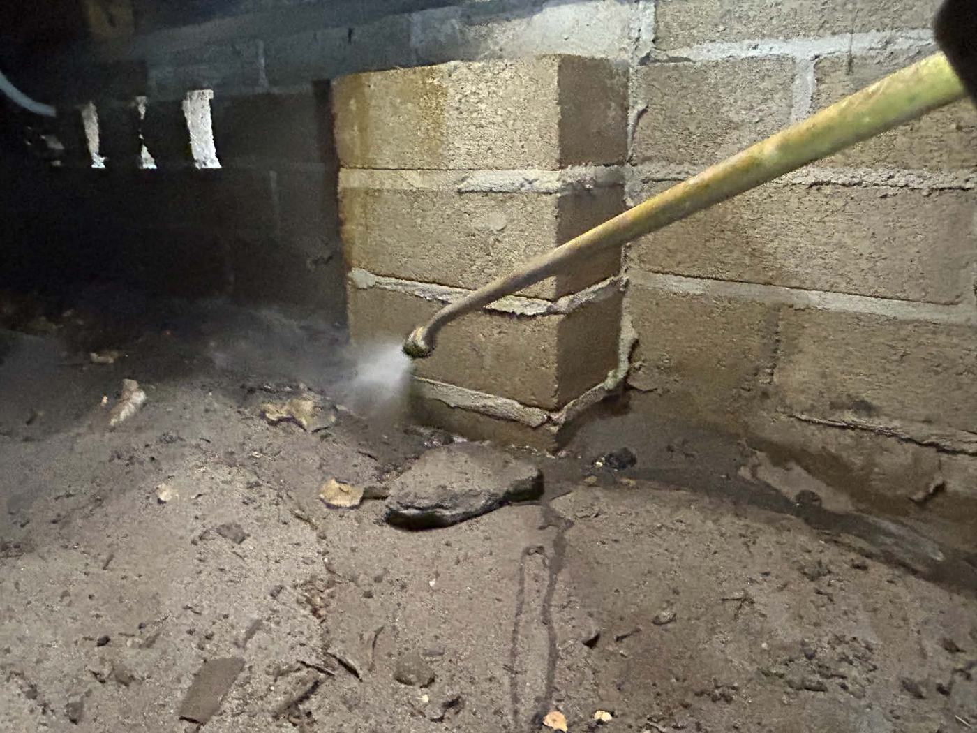 Subfloor termite treatment